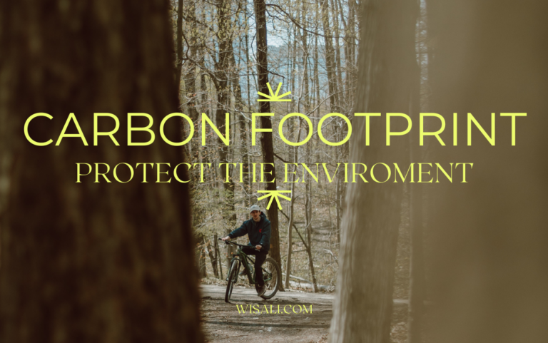 How to reduce your carbon footprint when traveling